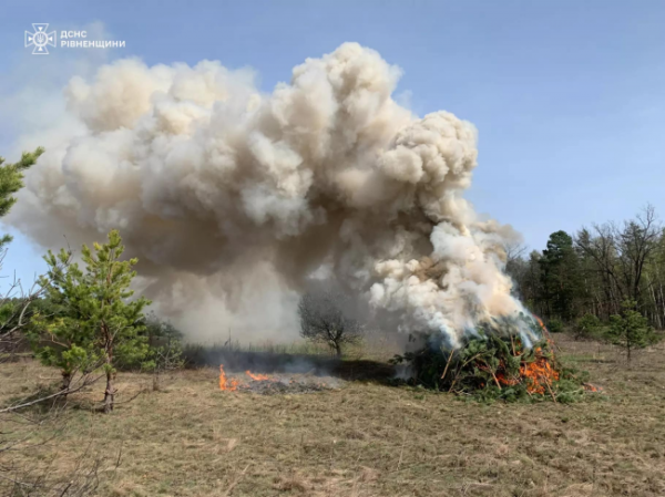 На Рівненщині лісівники та рятувальники тренуються гасити лісові пожежі - INFBusiness