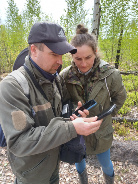 У заповіднику на Рівненщині виявили нові місця зростання червонокнижних рослин - INFBusiness