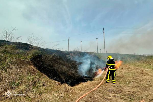 На Рівненщині за минулу добу ліквідували 17 пожеж - INFBusiness