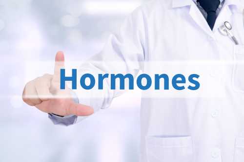 Як перехитрити гормони, через які ми набираємо зайву вагу - INFBusiness