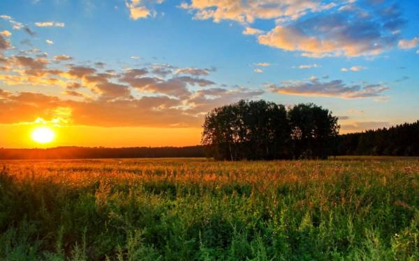 Якою буде погода на Рівненщині в понеділок - INFBusiness