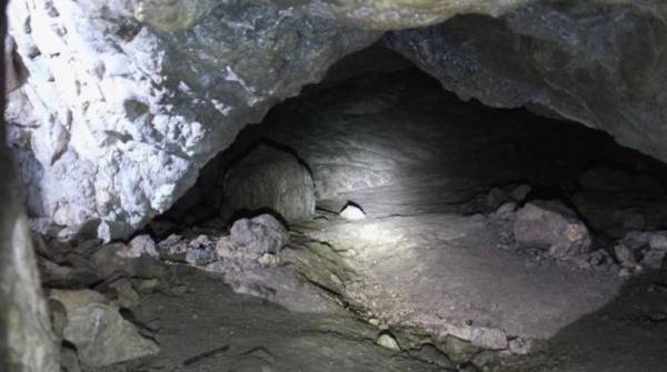 На Закарпатті взяли під охорону печерну стоянку кам‘яного віку - INFBusiness