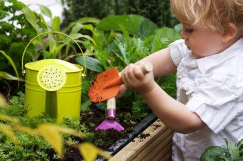 Садівництво разом з дитиною: чим воно може бути корисним при вихованні - INFBusiness