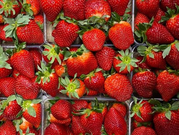 Які ягоди знижують рівень цукру в крові: чи можна полуницю діабетикам - INFBusiness