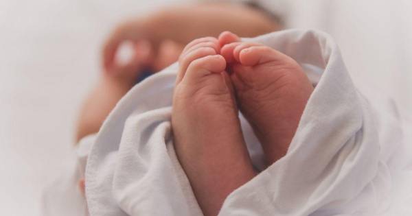 В Рівненській області в квітні народилося майже 800 дітей - INFBusiness