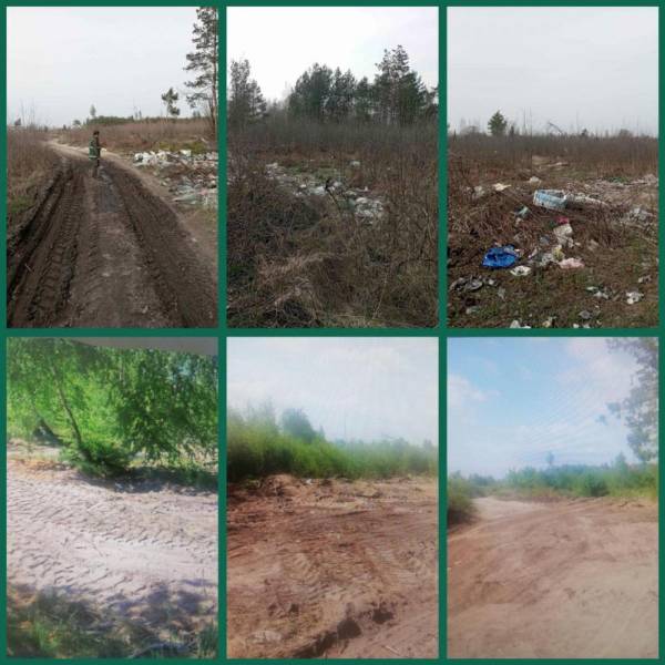 У лісі на Рівненщині прибрали звалище твердих побутових відходів - INFBusiness