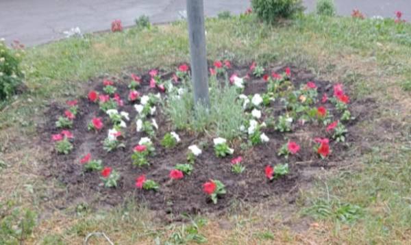 У міському гідропарку Здолбунова комунальники продовжують наводити лад. Наразі працівники КП "Здолбунівське" озеленюють місце для відпочинку, зокрема висаджують квіти на клумбах. У гідропарку Здолбунова комунальники "вишивають" квітами на клумбах - INFBusiness