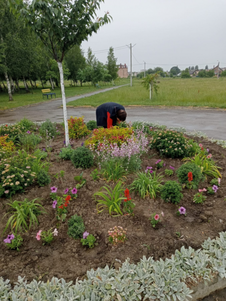 У гідропарку Здолбунова комунальники "вишивають" квітами на клумбах - INFBusiness