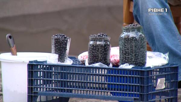 Владислав Стецюк, Андрій Дейнега Чорниці вже на ринках Рівного: в яку ціну ягоди? (ВІДЕО) - INFBusiness