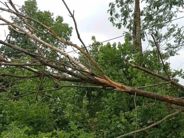 Негода на Рівненщині: в області фахівці відновлюють електропостачання - INFBusiness
