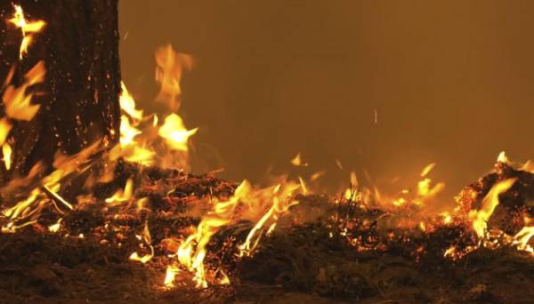 На Дубенщині вогонь знищив 120 тюків сіна й 30 - соломи - INFBusiness