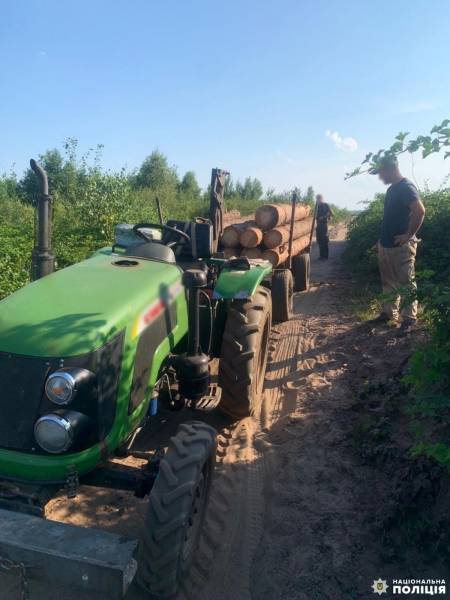 У Вараському районі виявили незаконну порубку лісу - INFBusiness