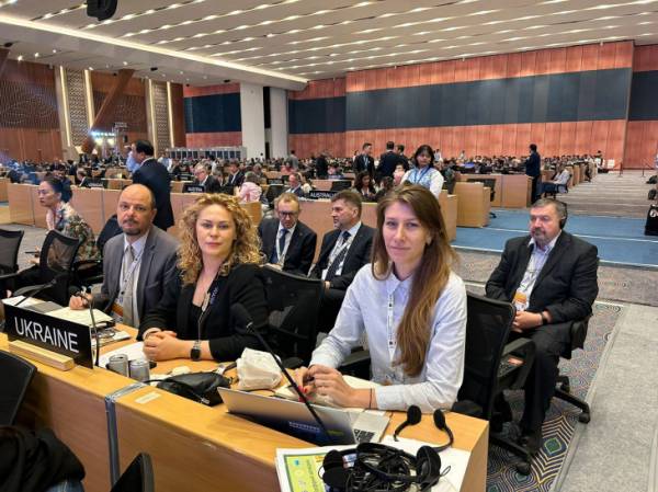 Знищення української культурної спадщини: Комітет ЮНЕСКО вперше рішуче засудив дії Росії - INFBusiness
