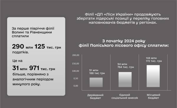 Філії Волині та Рівненщини сплатили понад 290 млн грн податків - INFBusiness