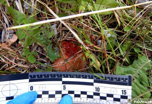 Поліцейські затримали жителя Рівненського району за смертельне побиття рівнянина - INFBusiness