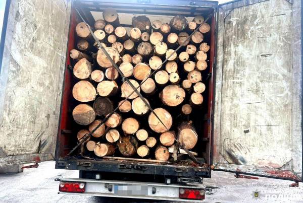 У Вараському районі водій незаконно перевозив понад 36 кубометрів соснових колод - INFBusiness