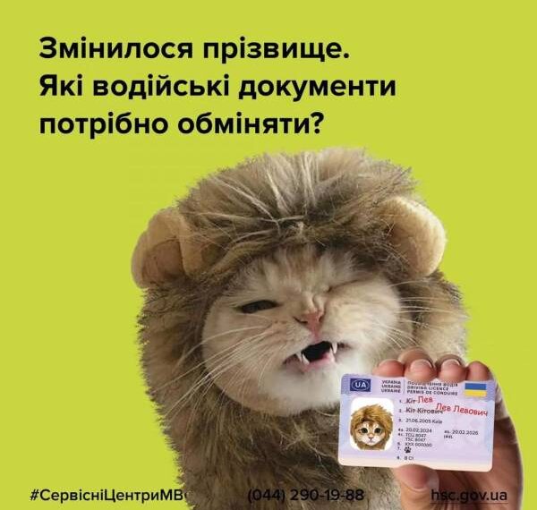 Змінилося прізвище: які водійські документи потрібно обміняти?