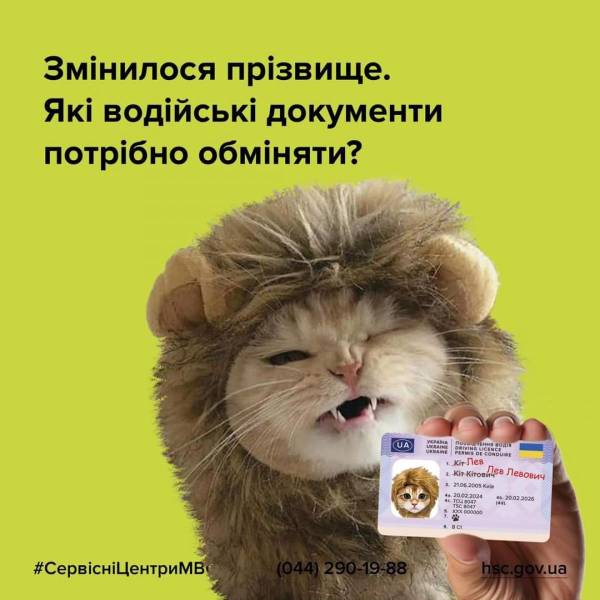 Змінилося прізвище: які водійські документи потрібно обміняти? - INFBusiness