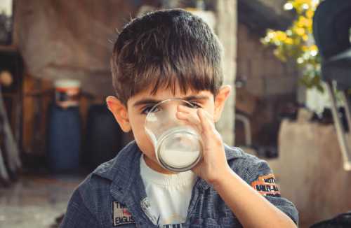 7 сигналів організму, які говорять, що вам варто відмовитися від молока - INFBusiness