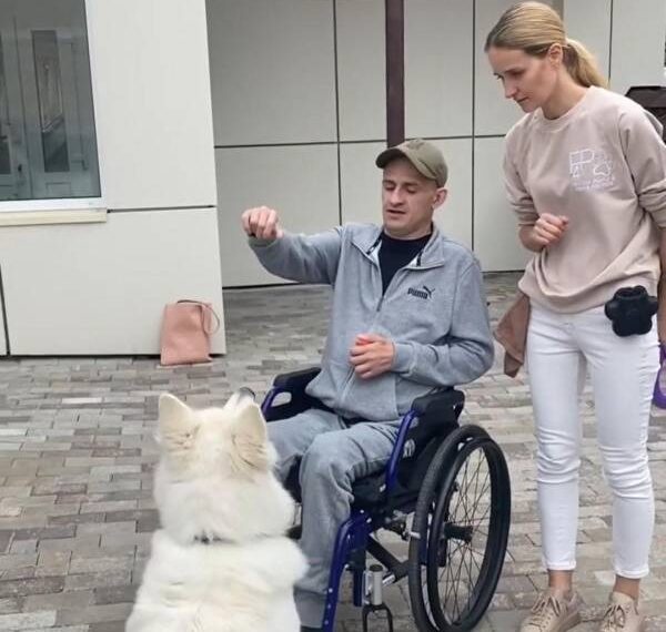 Каністерапія: на Рівненщині собаки-терапевти допомагають військовим