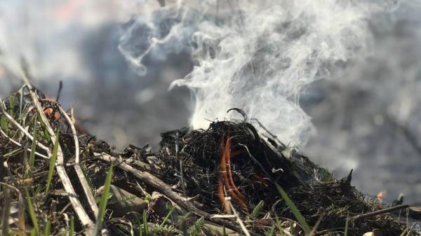 З початку року рівненські рятувальники склали сорок вісім адмінпротоколів на паліїв сухої трави: 12 за Статтею 77 "Порушення вимог пожежної безпеки в лісах" та 36 за Статтею 77-1. "Самовільне випалювання рослинності або її залишків". На Рівненщині склали 48 адмінпротоколів на паліїв сухостою - INFBusiness