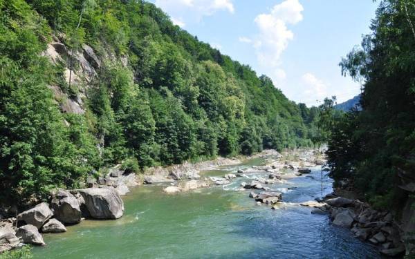 Чому важливо відпочивати біля гірської води Карпат? - INFBusiness
