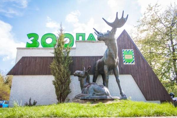 Рівненський зоопарк запрошує на роботу: кого шукають - INFBusiness