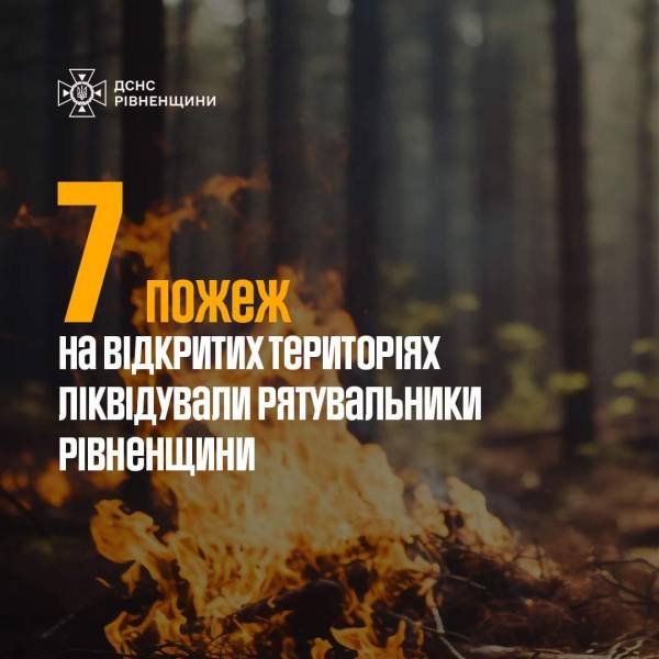 Торф, суха трава і сміття: на Рівненщині за добу ліквідували сім пожеж - INFBusiness