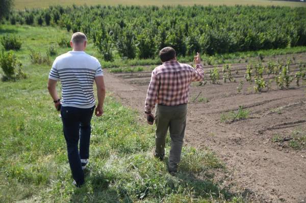 За допомогою грантів на Рівненщині розвивається садівництво - INFBusiness