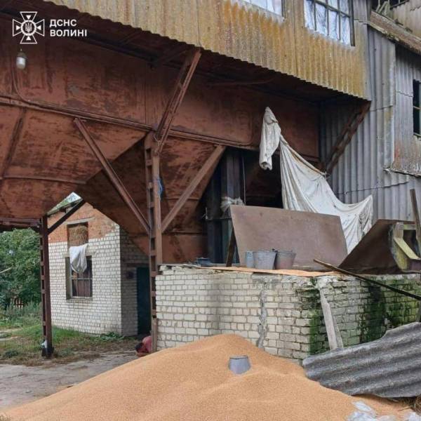 На Волині загинула дитина, впавши в зерносховище - INFBusiness