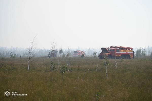 На Сарненщині триває ліквідація масштабної пожежі - INFBusiness