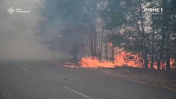 Рівненщина у вогні: що відомо про масштабну пожежу на півночі області? (ВІДЕО) - INFBusiness