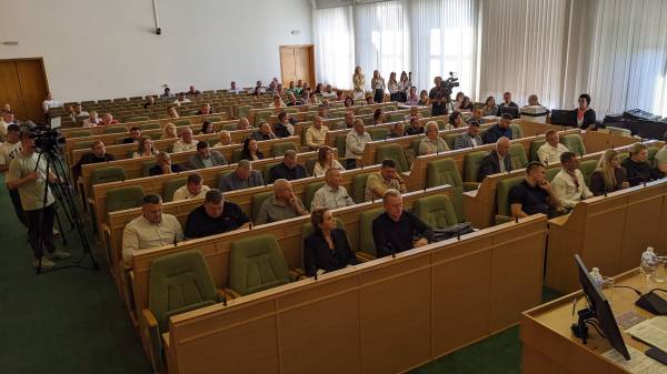 "Терапевничний сад": у Рівному може з'явитися місце для реабілітації воїнів - INFBusiness