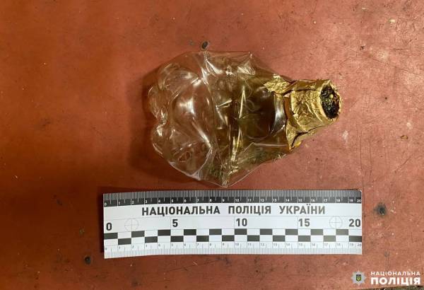 Рівнянин вдарив свою 73-річну матір на очах у власних дітей: правоохоронці вгамували кривдника - INFBusiness