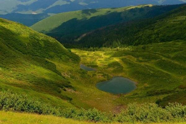 Суд заблокував будівництво курорту Свидовець на Закарпатті в інтересах лісорубів – голова громади - INFBusiness