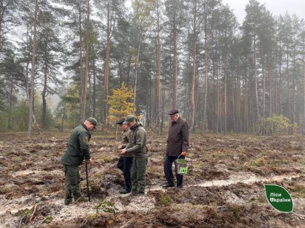 На Рівненщині та Волині висаджували ліс (ФОТО) - INFBusiness