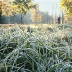 Заморозки прогнозують на Рівненщині