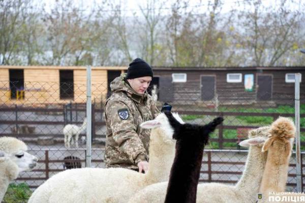 На Рівненщині пройшов відновлювальний захід для поранених воїнів - INFBusiness