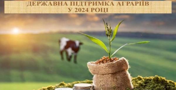 Аграрії Рівненщини отримали 61 мільйонів гривень інвестицій від держави - INFBusiness