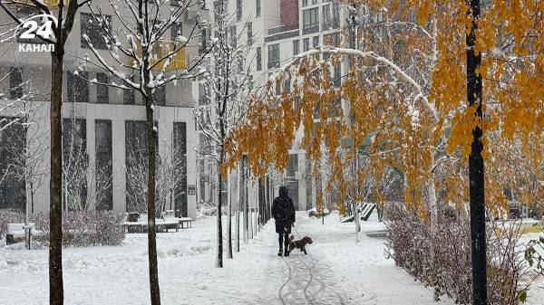 Сніг і дощі накриють більшість областей України: погода на 29 листопада - INFBusiness