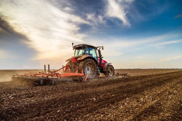 На Рівненщині цьогоріч понад 160 аграрних підприємств скористалися банківськими кредитами - INFBusiness