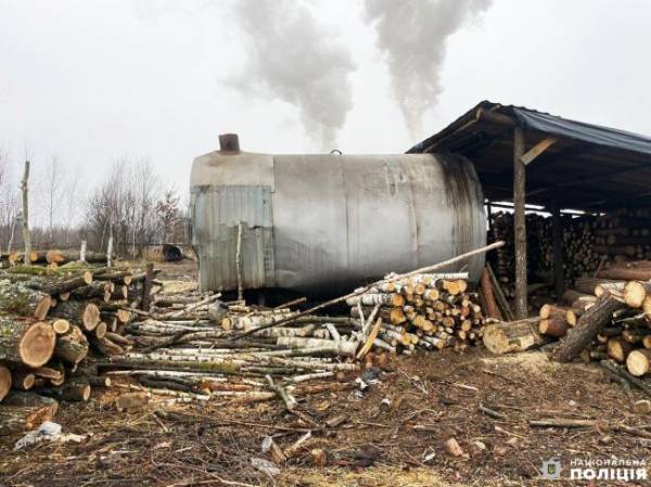 На Рівненщини правоохоронці викрили «точку», на якій випалювали вугілля (ФОТО) - INFBusiness