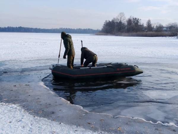 Мігрували ближче до людей: На Рівненщині знайшли прихисток водоплавні птахи - INFBusiness