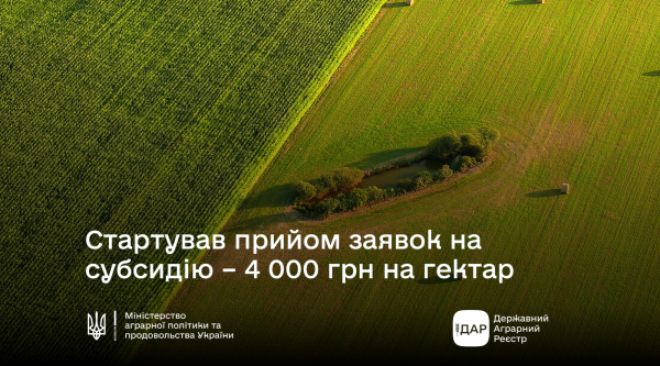 Субсидія для аграріїв Рівненщини: стартував прийом заявок на одиницю оброблюваних угідь - INFBusiness