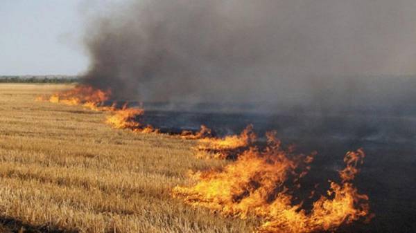 За минулу добу на Рівненщині сталося кілька пожеж через спалювання сухостою - INFBusiness