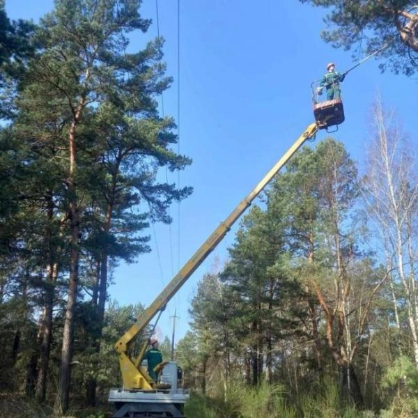 На Рівненщині проводять розчищення повітряних ліній в охоронних зонах - INFBusiness