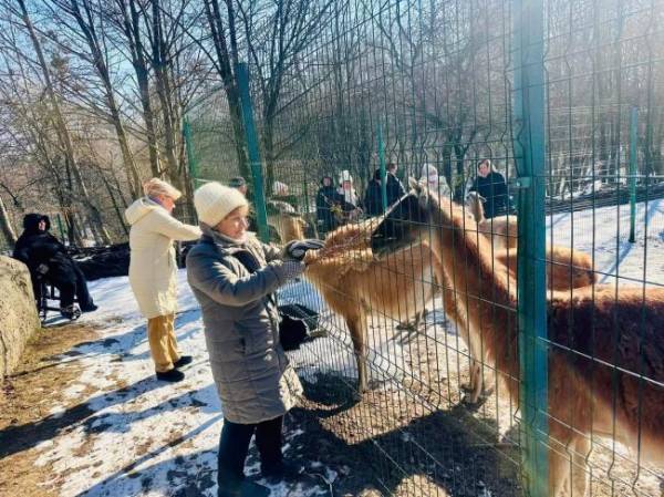 У Рівненському зоопарку провели екскурсію для підопічних реабілітаційного центру (ФОТО) - INFBusiness