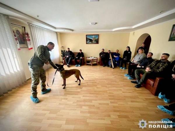 На Рівненщині чотирилапі "лікарі" Гайка й Корі допомагають відновитися пораненим захисникам (ФОТО) - INFBusiness