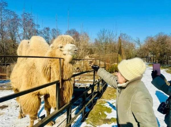 У Рівненському зоопарку провели екскурсію для підопічних реабілітаційного центру (ФОТО) - INFBusiness