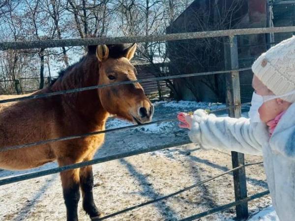 У Рівненському зоопарку провели екскурсію для підопічних реабілітаційного центру (ФОТО) - INFBusiness